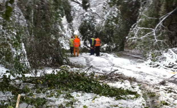 В 17.30 ч. ще бъде отворен за движение на МПС Ришки проход