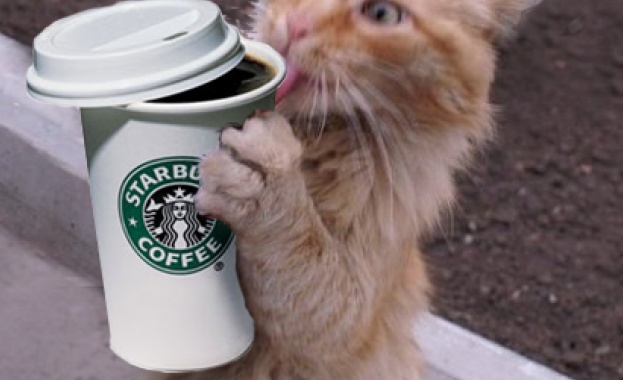 Котарак стана милионер