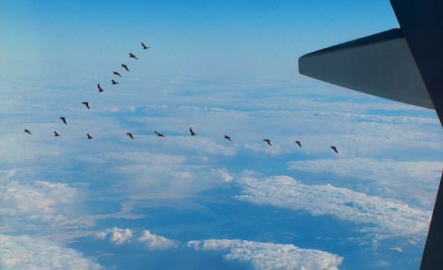 Самолет се приземи аварийно в Хамбург, заради сблъсък с ято птици 