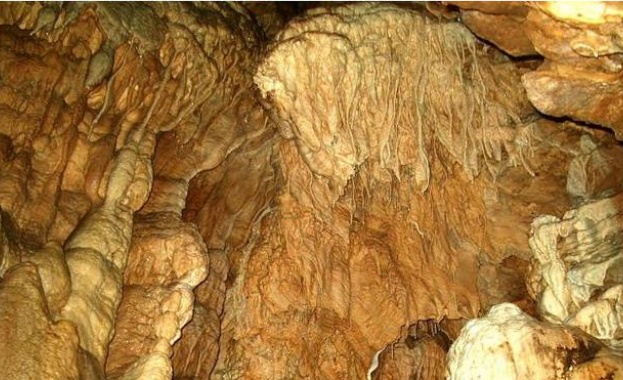 Пещерните хора взимали халюциногенни растения
