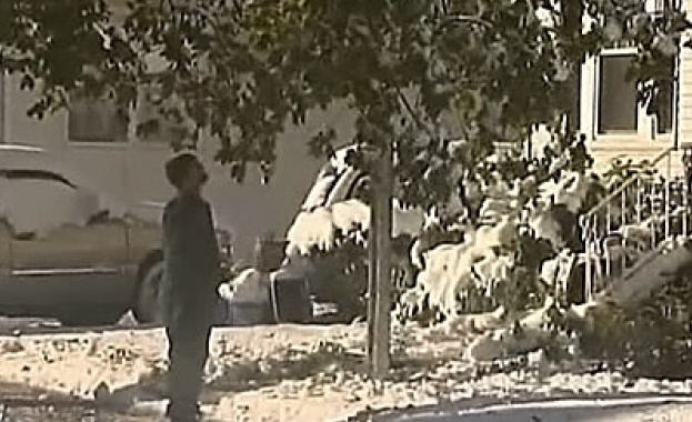 Снежната буря в Ню Йорк повали хиляди дървета 