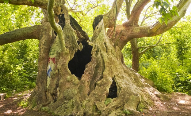 Подобряват се редът и условията за провеждане на процедурите по ОВОС и екологична оценка  