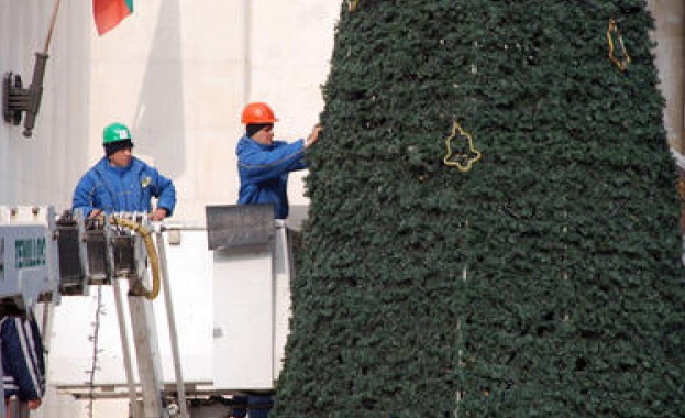 Елхата в Белия дом пристигна  