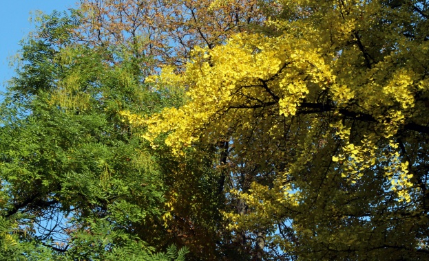 Студено утро и слънчев следобед  