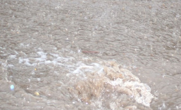 Най малко 21 души са загинали в резултат на проливни дъждове