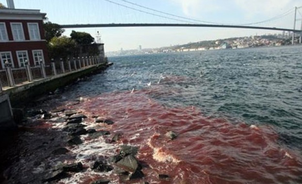 Босфорът почервеня от кръвта на животни, заклани за курбан-байряма