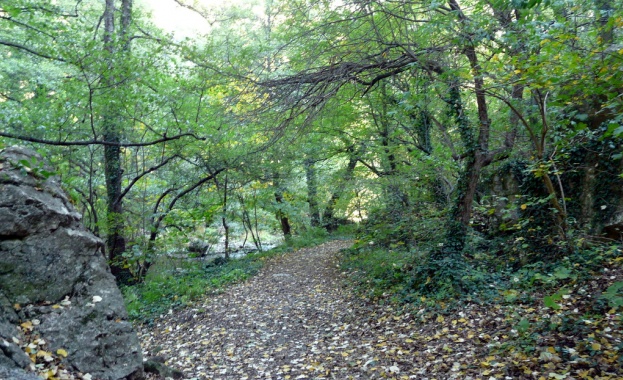 Ветроенергийната асоциация с изложба „Енергия от природата” 