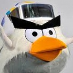 AngryBirds покори хокея