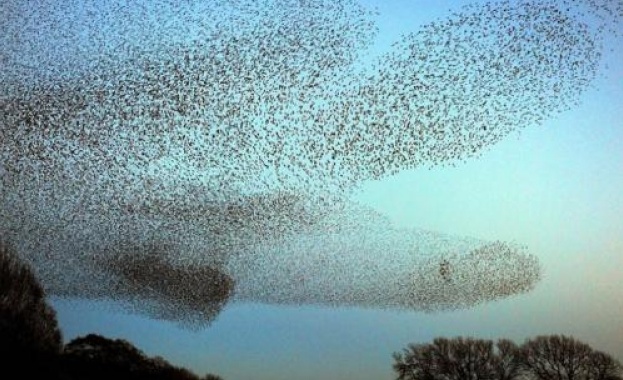 На 1 и 2 октомври BirdLife International и партньорите ѝ