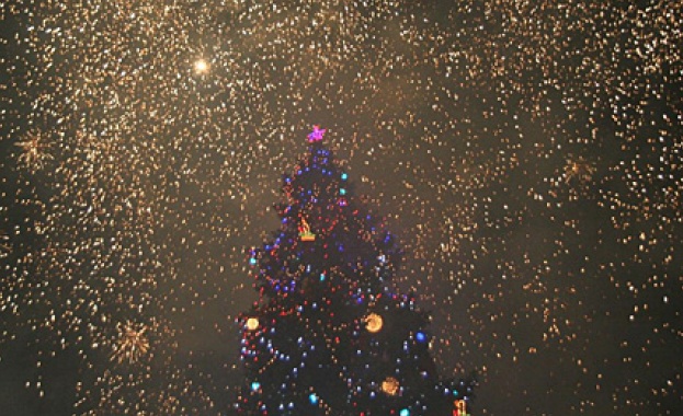 Над 15 метра бор ще светне за Коледа в центъра на София 