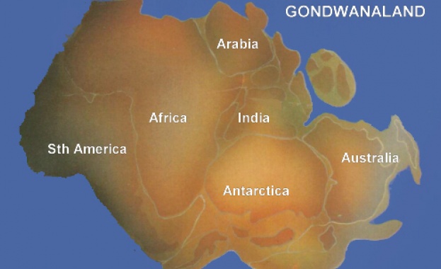В Индийския океан откриха острови от континента Гондвана