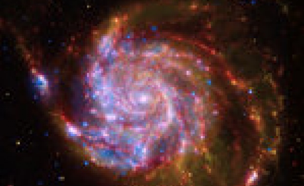 „Хъбъл” засне звезден куп в съзвездието Златна рибка