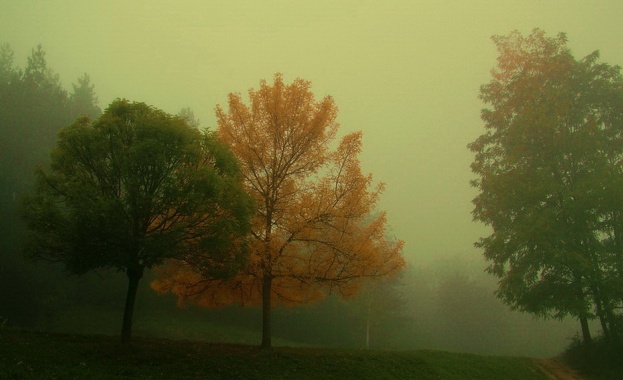 Облачно и дъждовно начало на седмицата