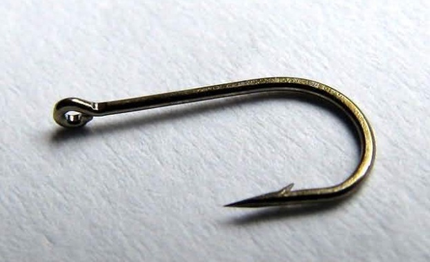 Учени откриха най-старите в света кукички