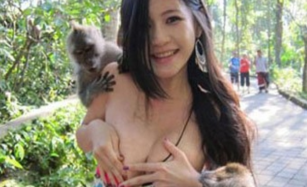  На о. Бали гладни маймуни се опитаха съблекат студентка