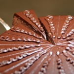 Родени на 28 ноември