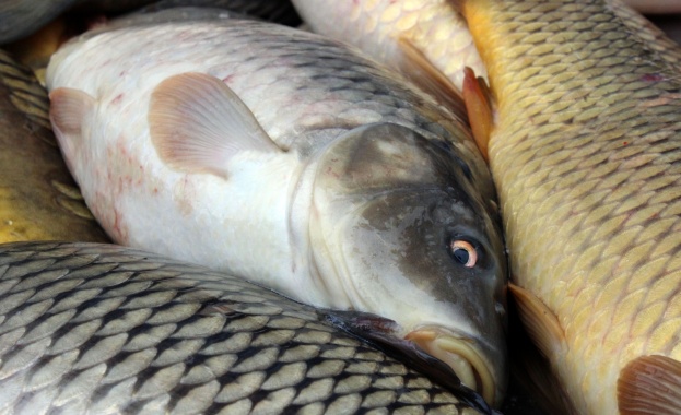 Никулден е!  