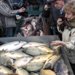 Дни преди Никулден започнаха масирани проверки на областната дирекция по безопасност на храните. Какво показват те?