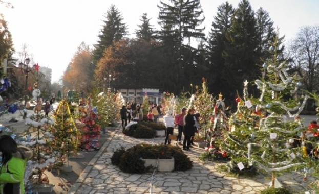 „Булевард на елхите" украси централния площад на Разлог