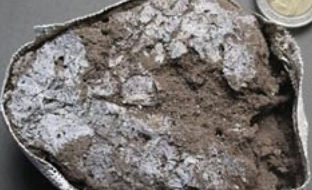 Най-древното в света легло порази учените