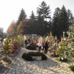 „Булевард на елхите" украси централния площад на Разлог