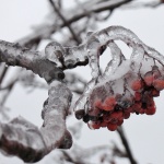 Предстоящи събития за 05.12.2013 г.