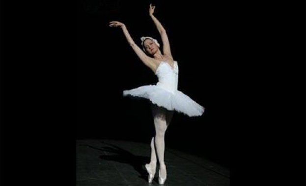 "Приказна нощ" за Коледа