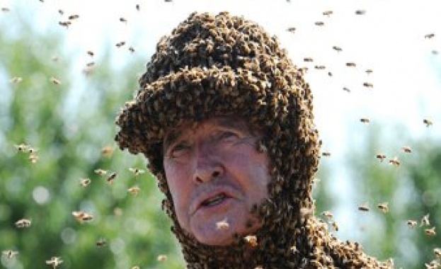 Повелителят на пчелите 