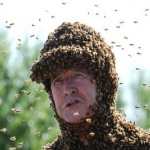 Повелителят на пчелите 