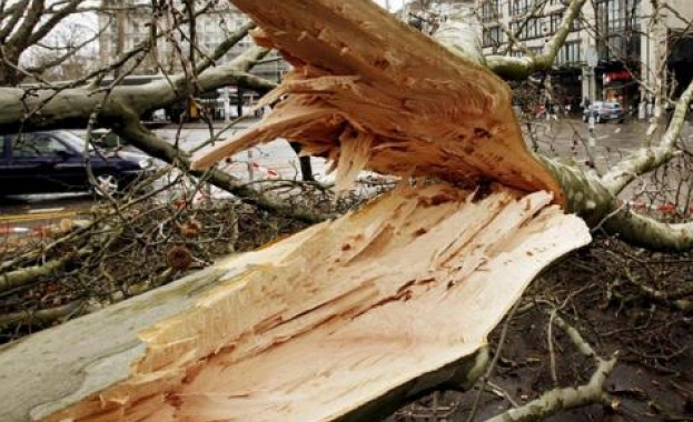 Ураганен вятър парализира влаковете  в Швеция 