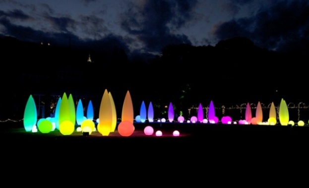 "Светещите дървета"