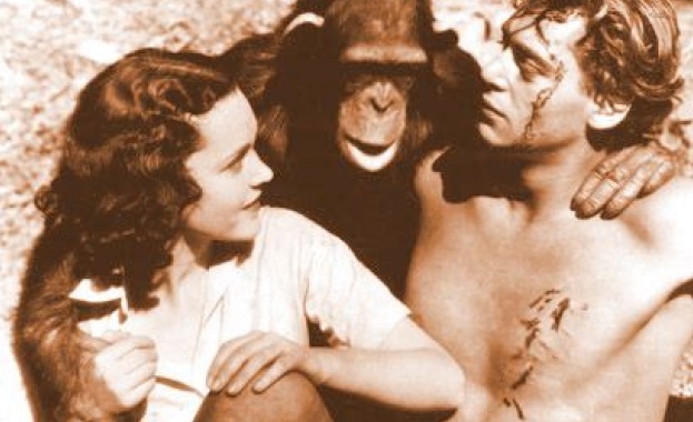 Почина звездата от филмите за Тарзан - шимпанзето Чита 