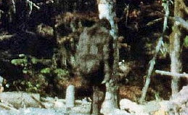 В Ингушетия хванаха същество, приличащо на „снежен човек”