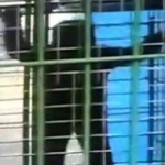 „Снежният човек” от Ингушетия се оказа уловка