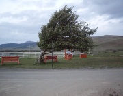 Облачно и ветровито утре