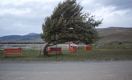 Облачно и ветровито утре