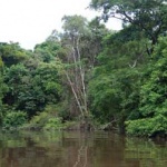 5000 км пеш: Българин прекоси Амазонската джунгла