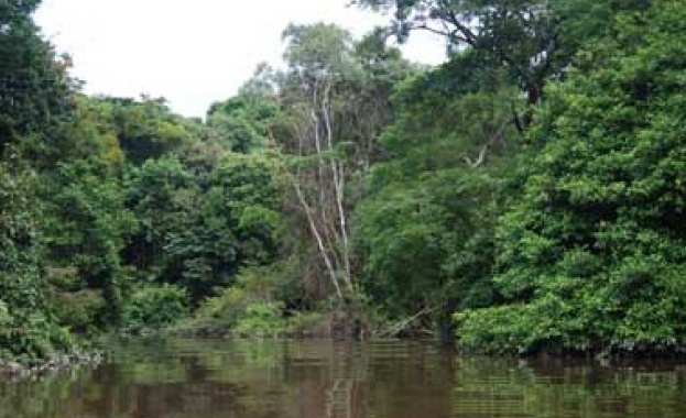 5000 км пеш: Българин прекоси Амазонската джунгла