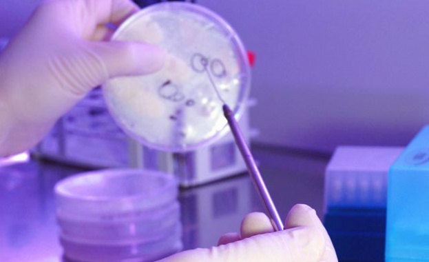 Над 420 млн. лв. са предвидени за наука през 2017 г. 