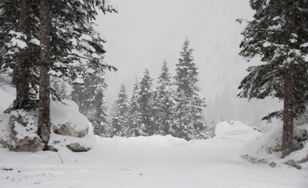 Предстоящи събития в страната за утре, 5 декември