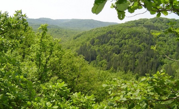 Обсъждат горските мерки в Батак 