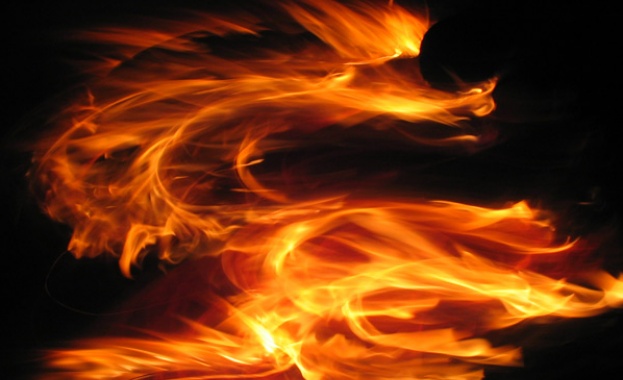 Експлозия в индийска фармацевтична фабрика уби най малко 17 души 30