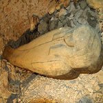 Древноегипетска мумия разбулва мистерията на раковите заболявания