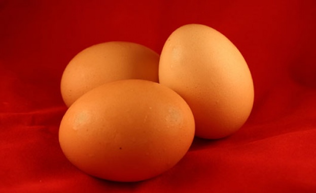 Четири от натровените деца във варненска градина остават на лечение