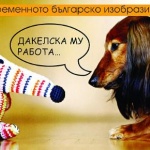 "Дакелска му работа..."
