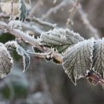 Предстоящи събития в страната 