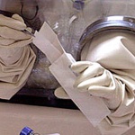 БАБХ: Има опасност месо от огнище с антракс в Силистренско да е разпространено и на други места в България