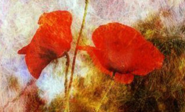 Откриха неизвестни досега скици на Винсент Ван Гог 