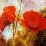 Ако чуеш вътрешен глас