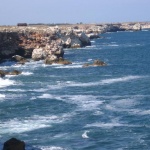 Кои са добрите практики в морското търсене и спасяване?  